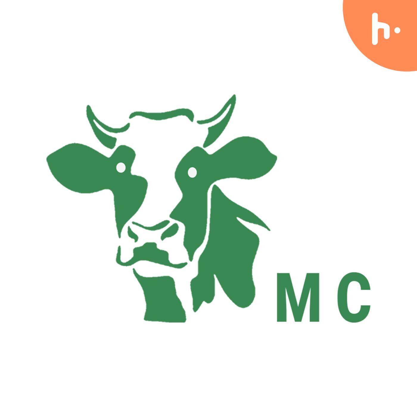 Miniature Cows: A Comprehensive Guide to Size, Care, Benefits, and Costs