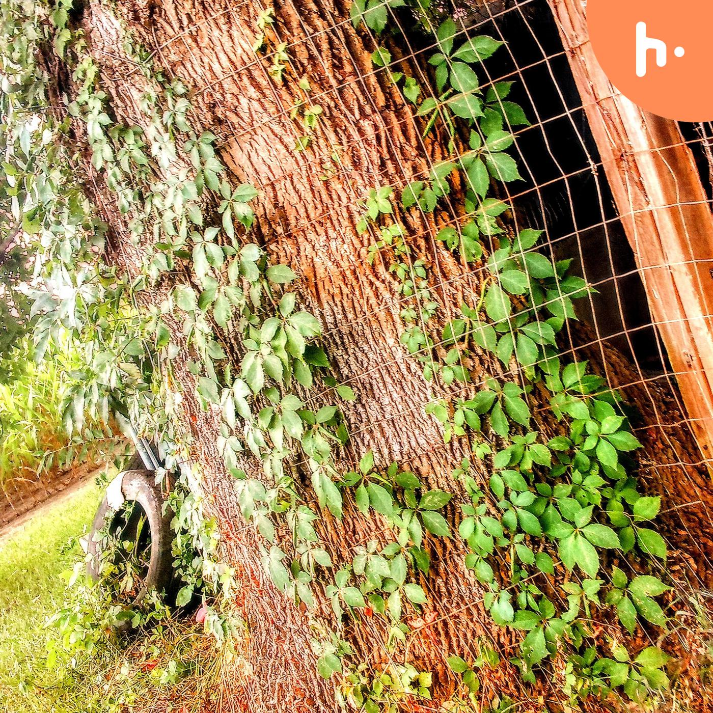 Catalina Let's talk About it First Podcast