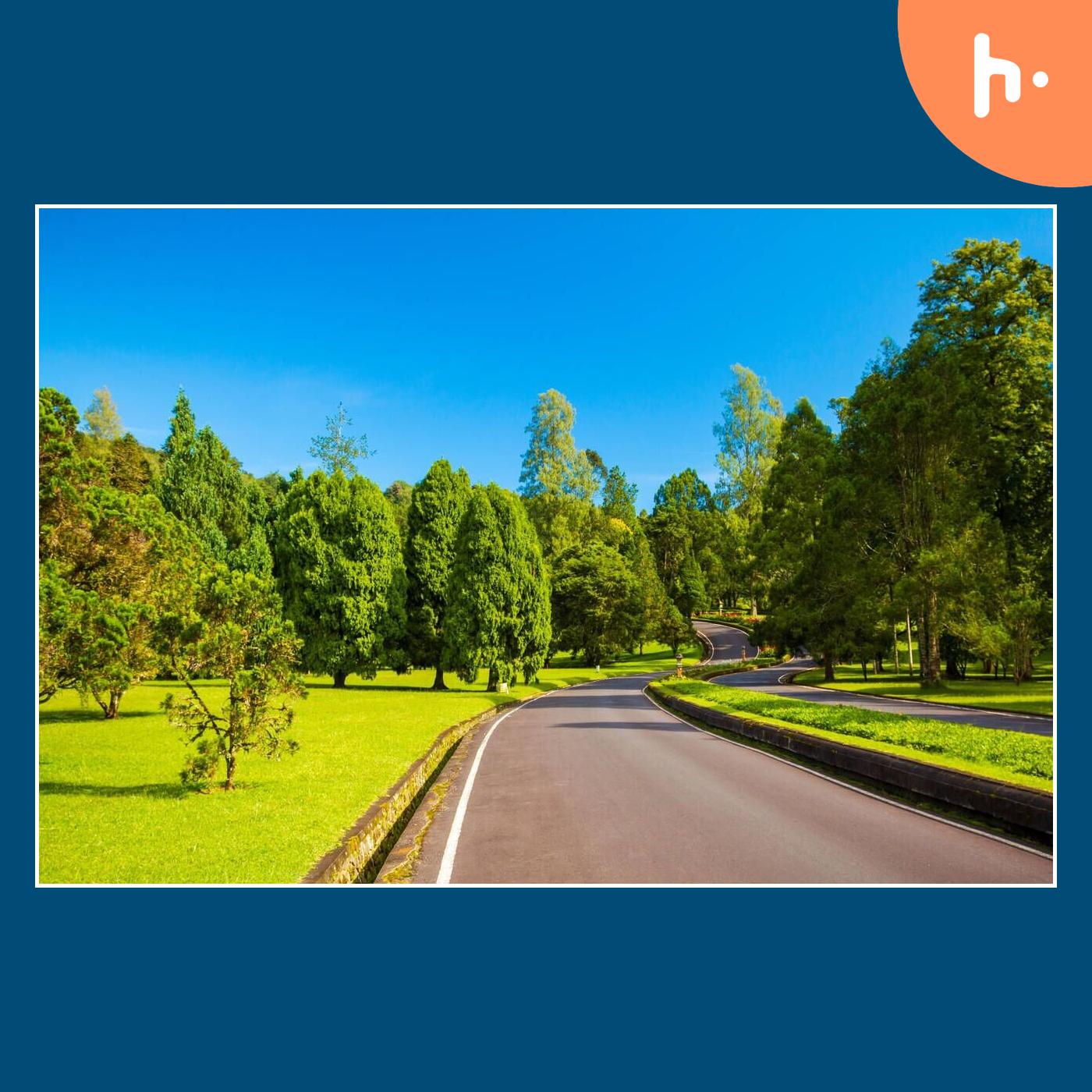 Explore the Beauty of Bali Botanic Garden: A Sanctuary of Nature