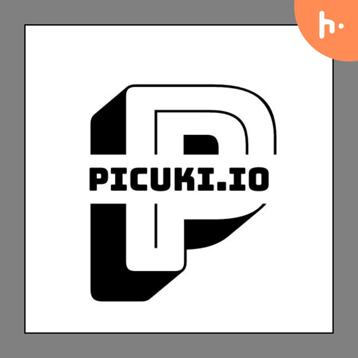 Picuki: A Strategic Asset for Leveraging Instagram's Public Data Ecosystem in Digital Marketing