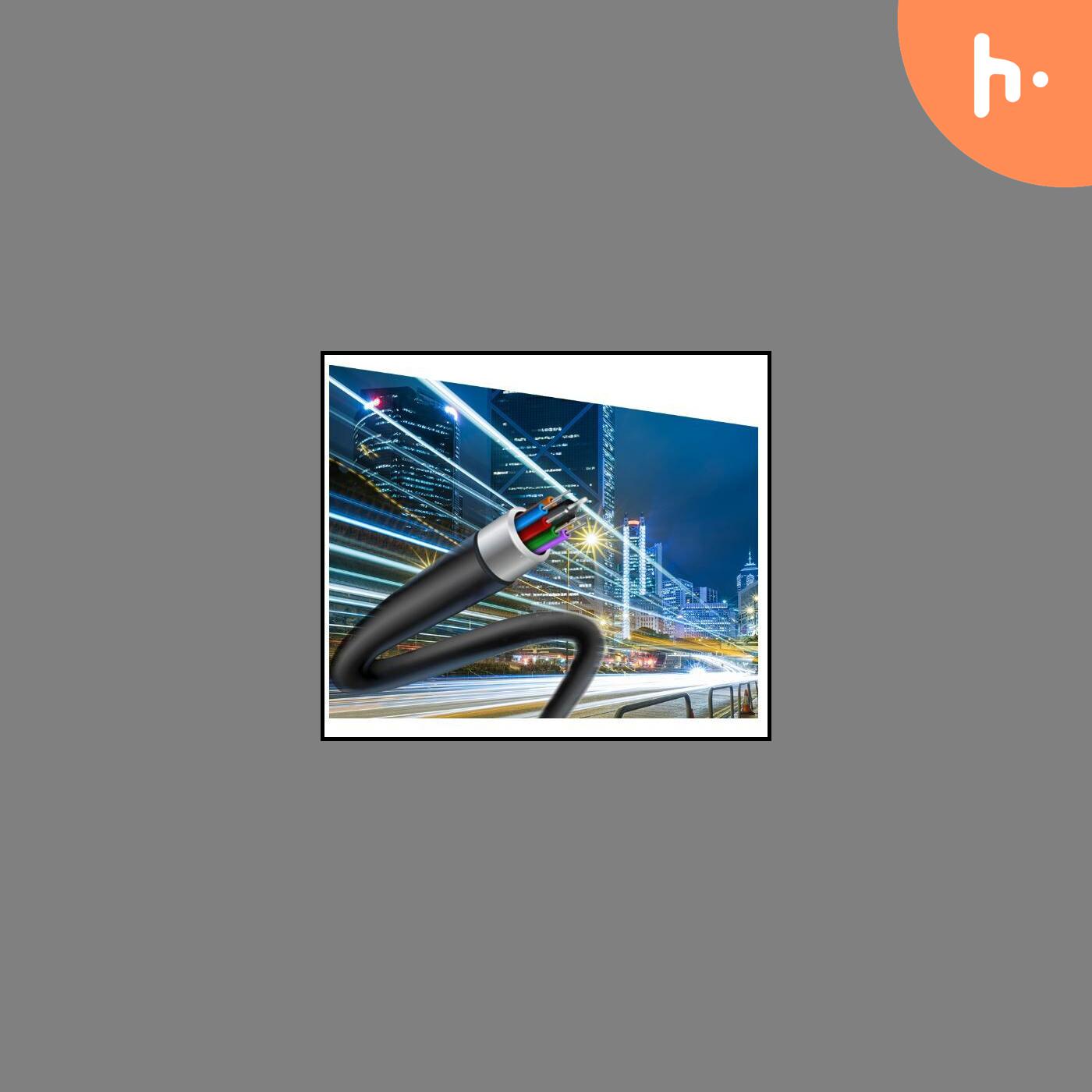 Fort Gloster Industries Ltd