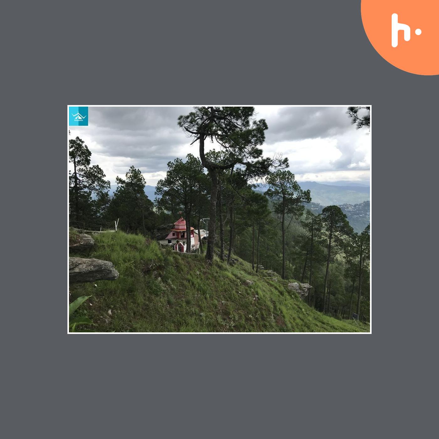 Adventure Activities in Kasar Devi: A Thrilling Escape into Nature