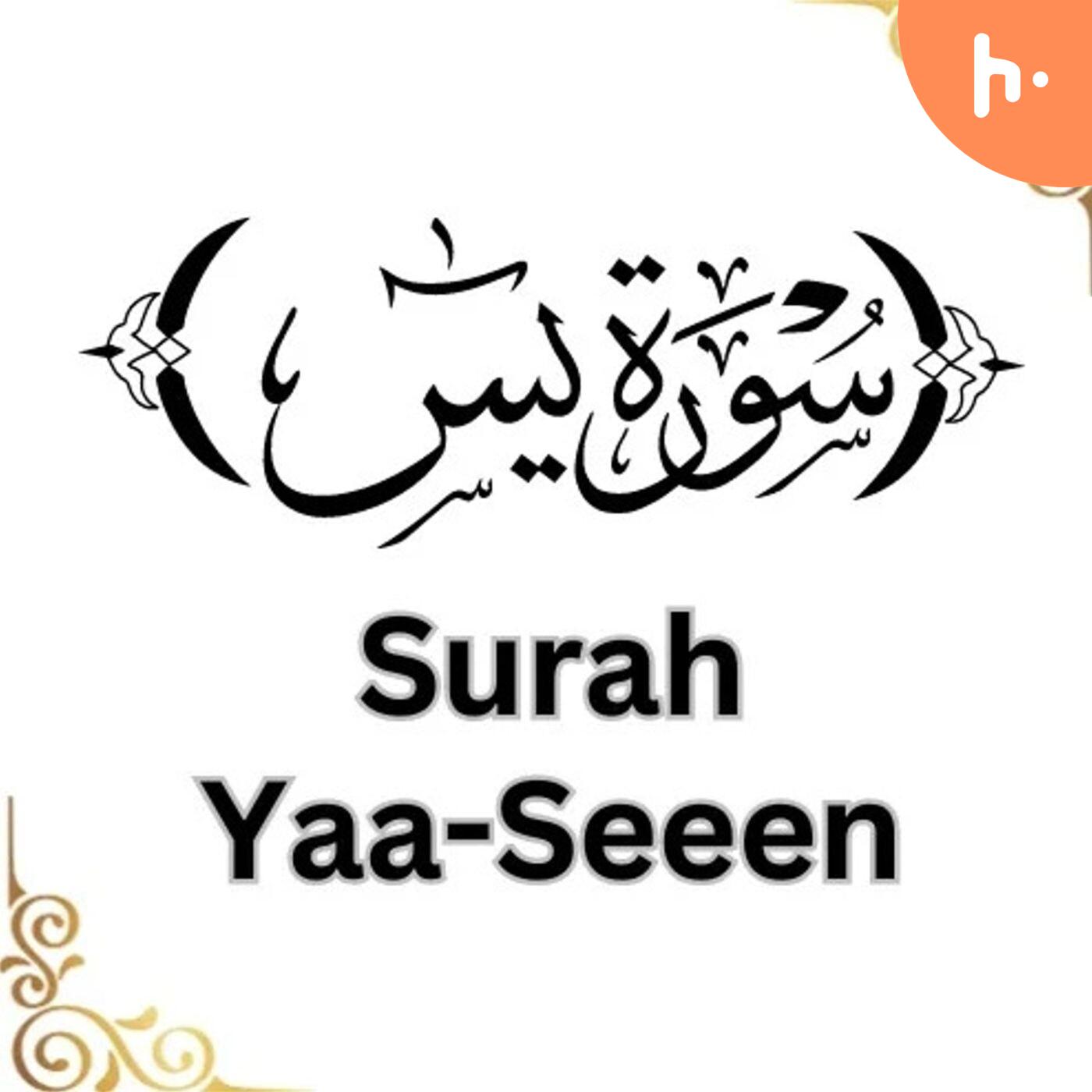 Echoes of Surah Yaseen: A Soulful Recitation and Reflection