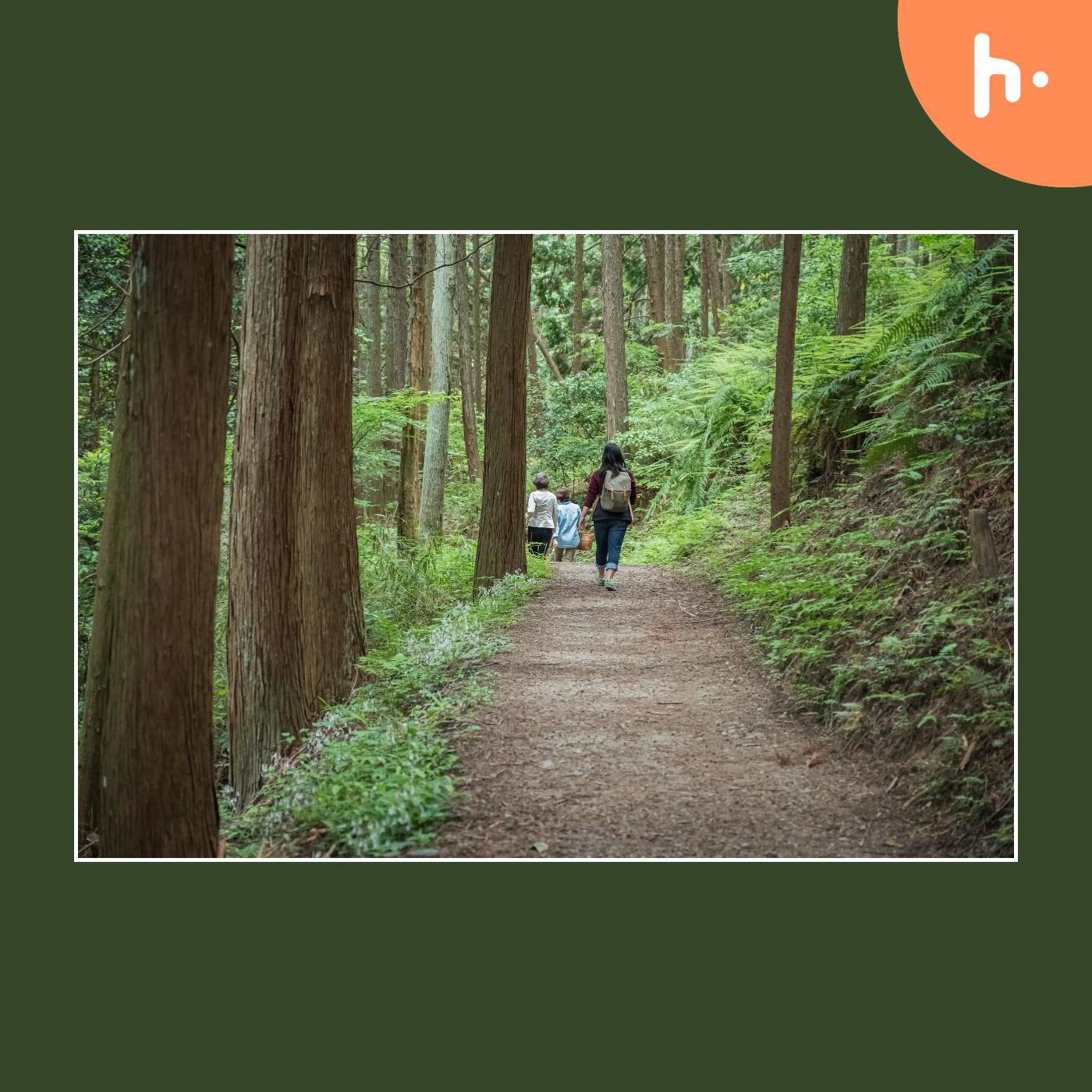 Kamil Pyciak | Forest Bathing and Its Benefits podcast artwork