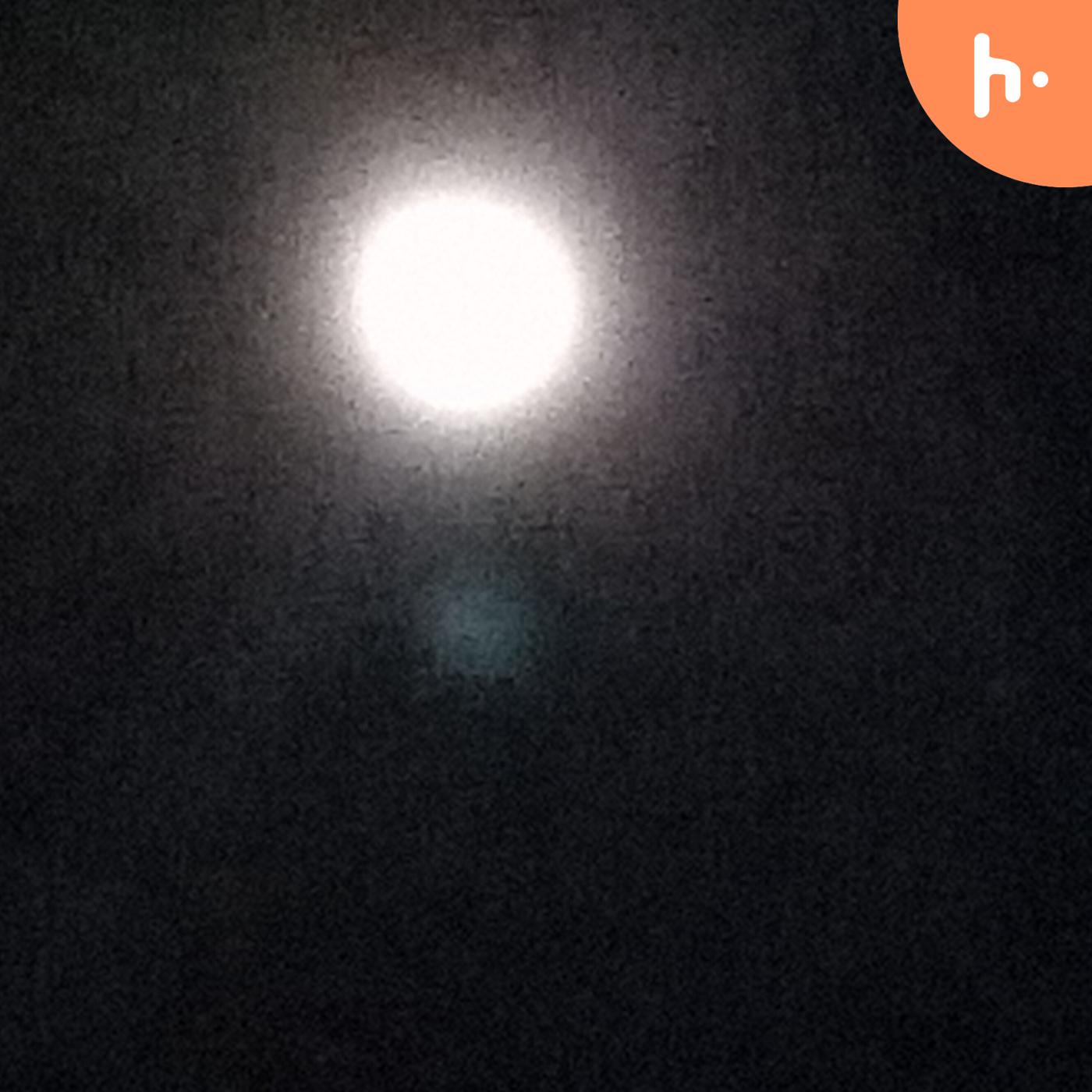 Disaster prey vs pray which are you?