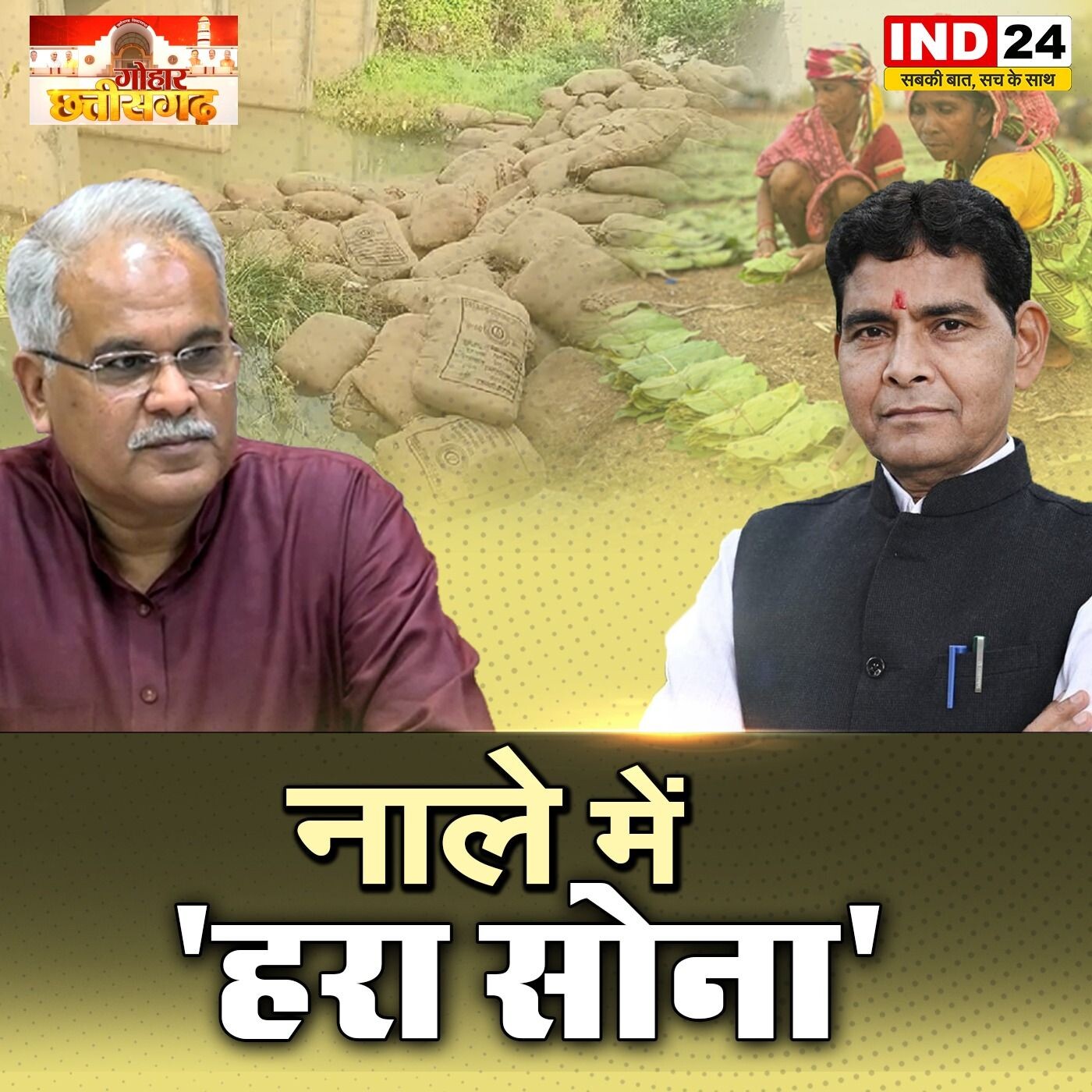 छग में कचरे की तरह नाले में क्यों बहा हरा सोना ? | तेंदूपत्ता | छत्तीसगढ़ | IND24TV पर episode artwork