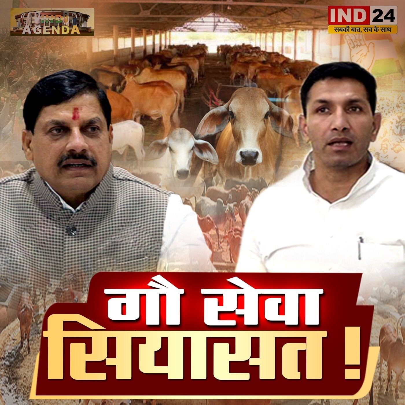 गौ सेवा और सियासत! episode artwork