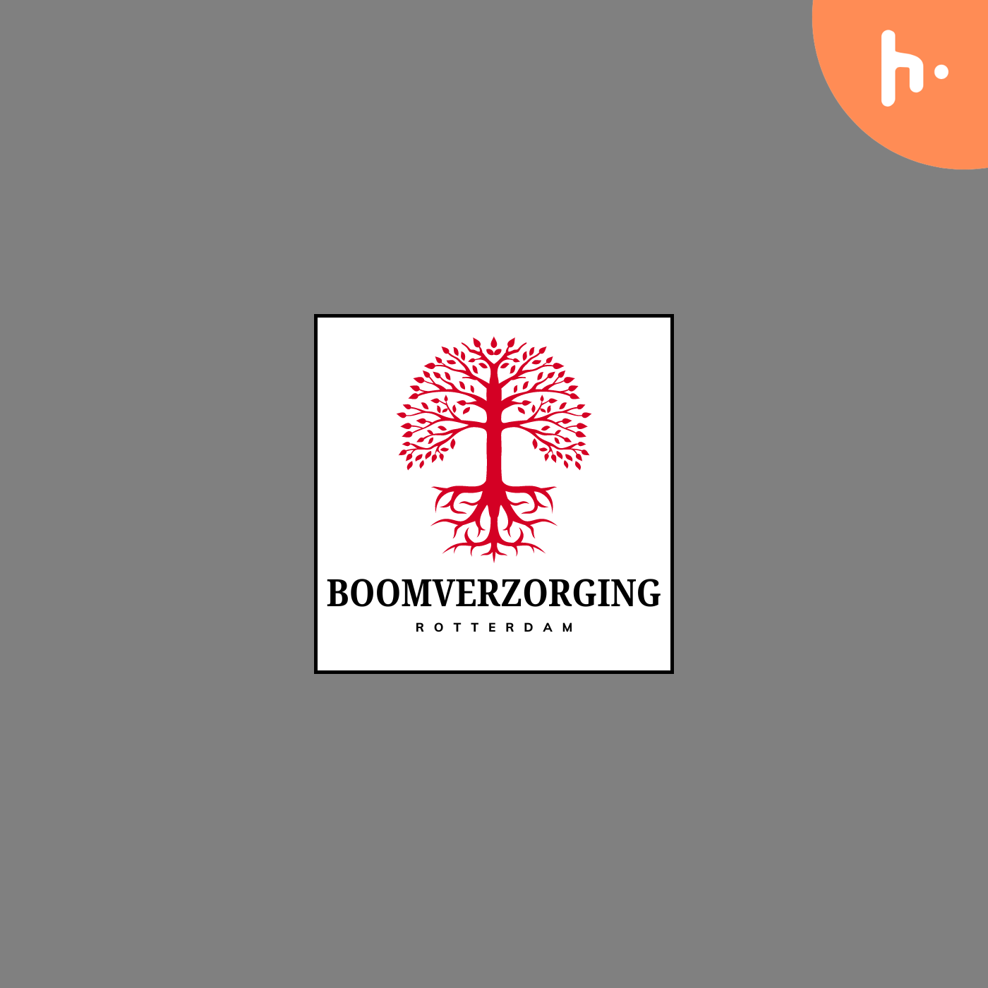Boomverzorging Rotterdam