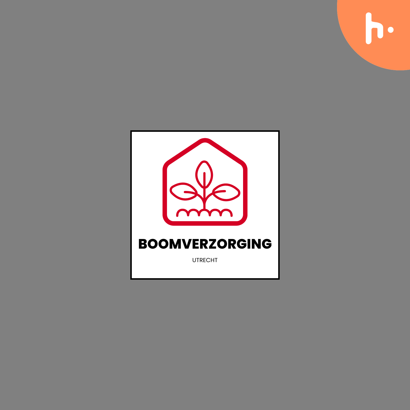 Boomverzorging Utrecht