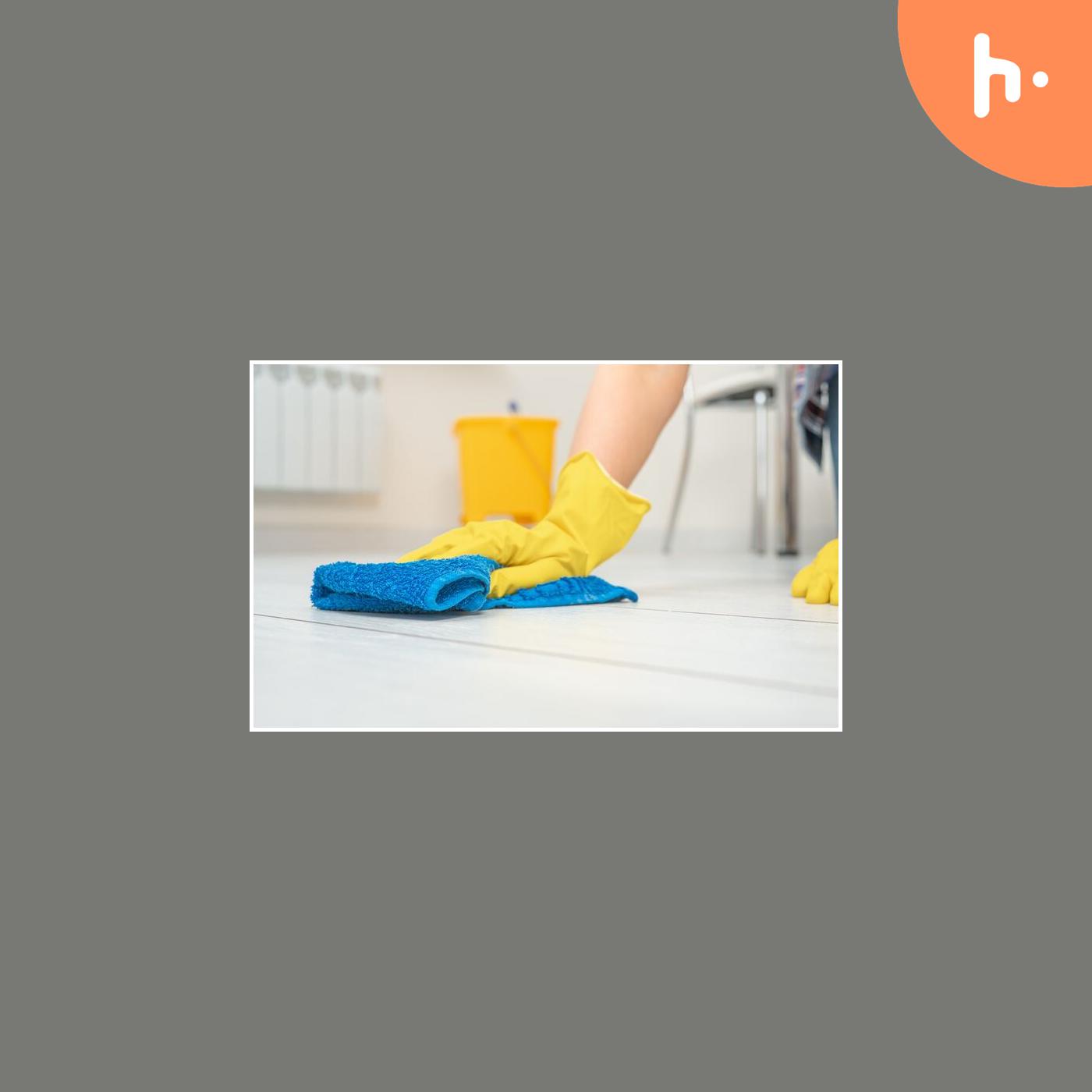 Exceptional Home Cleaning Services in Seattle, WA