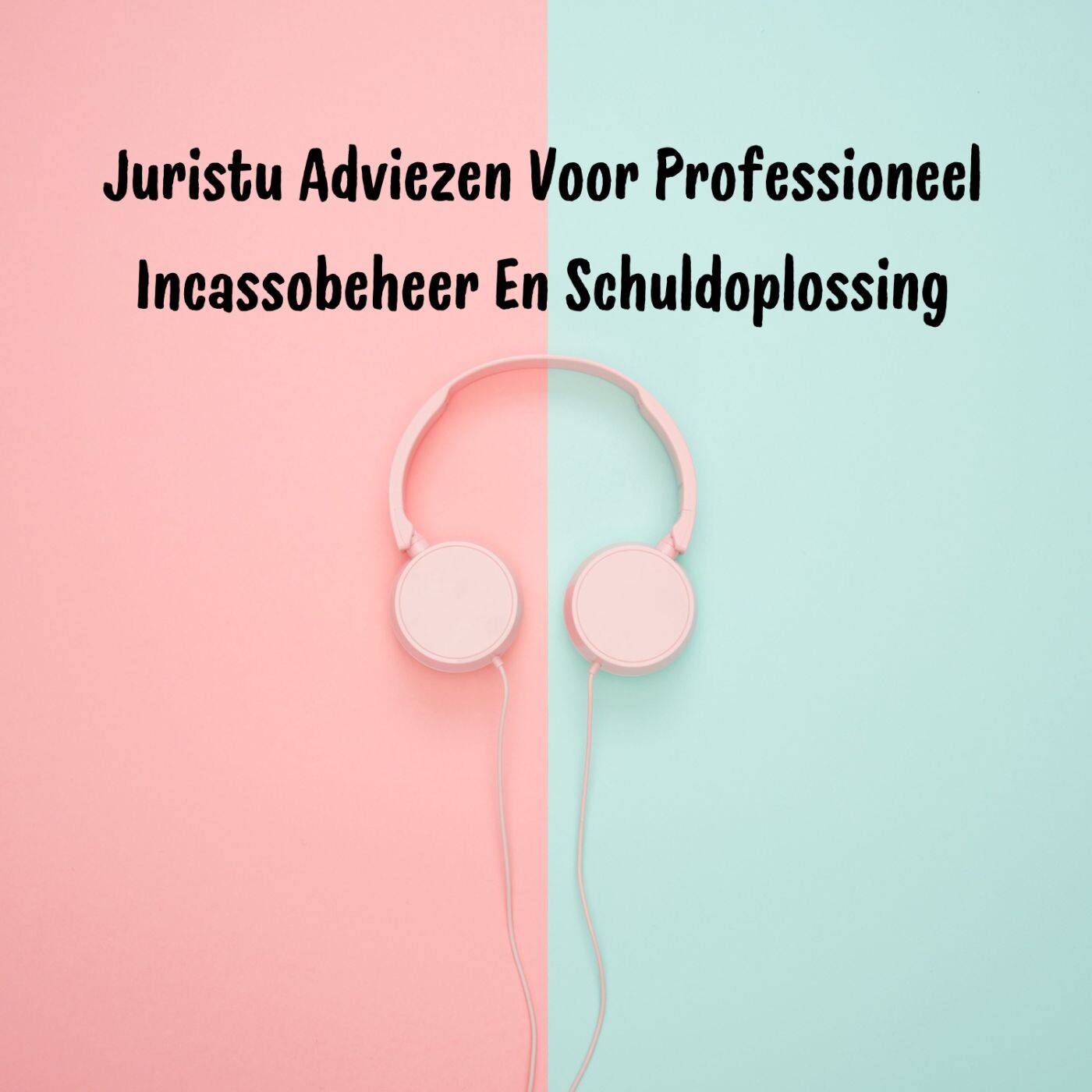 Juristu Adviezen Voor Professioneel Incassobeheer En Schuldoplossing episode artwork
