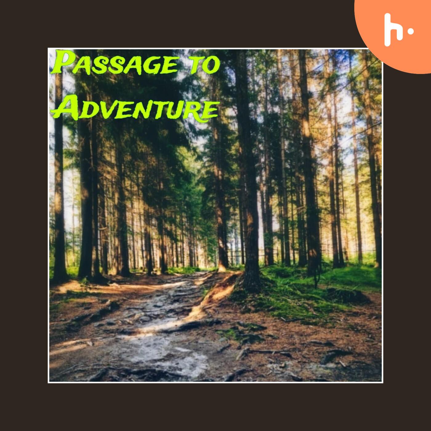 Passage to Adventure