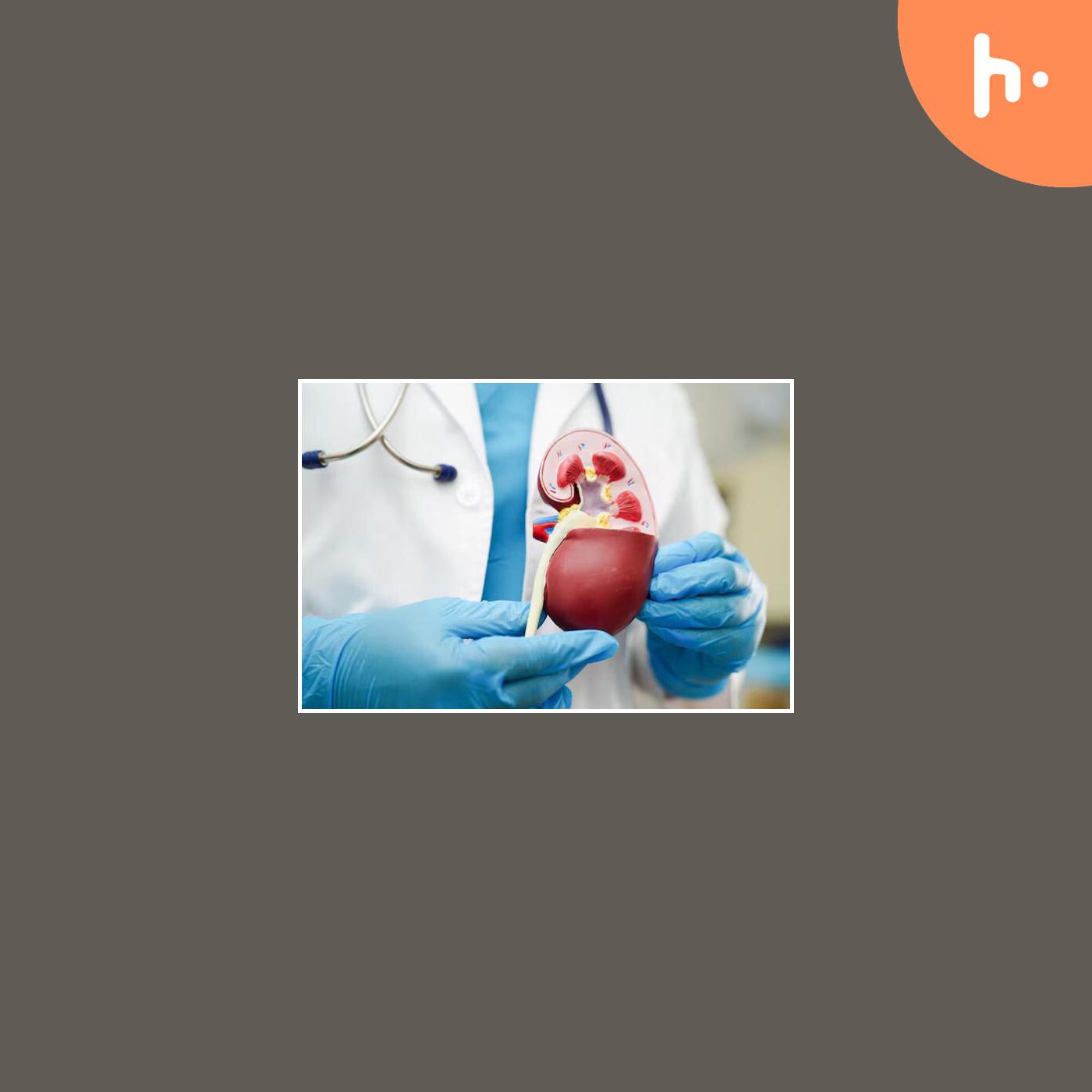 Effective Treatments for Kidney and Ureteral Stones | Alenezi Doctor