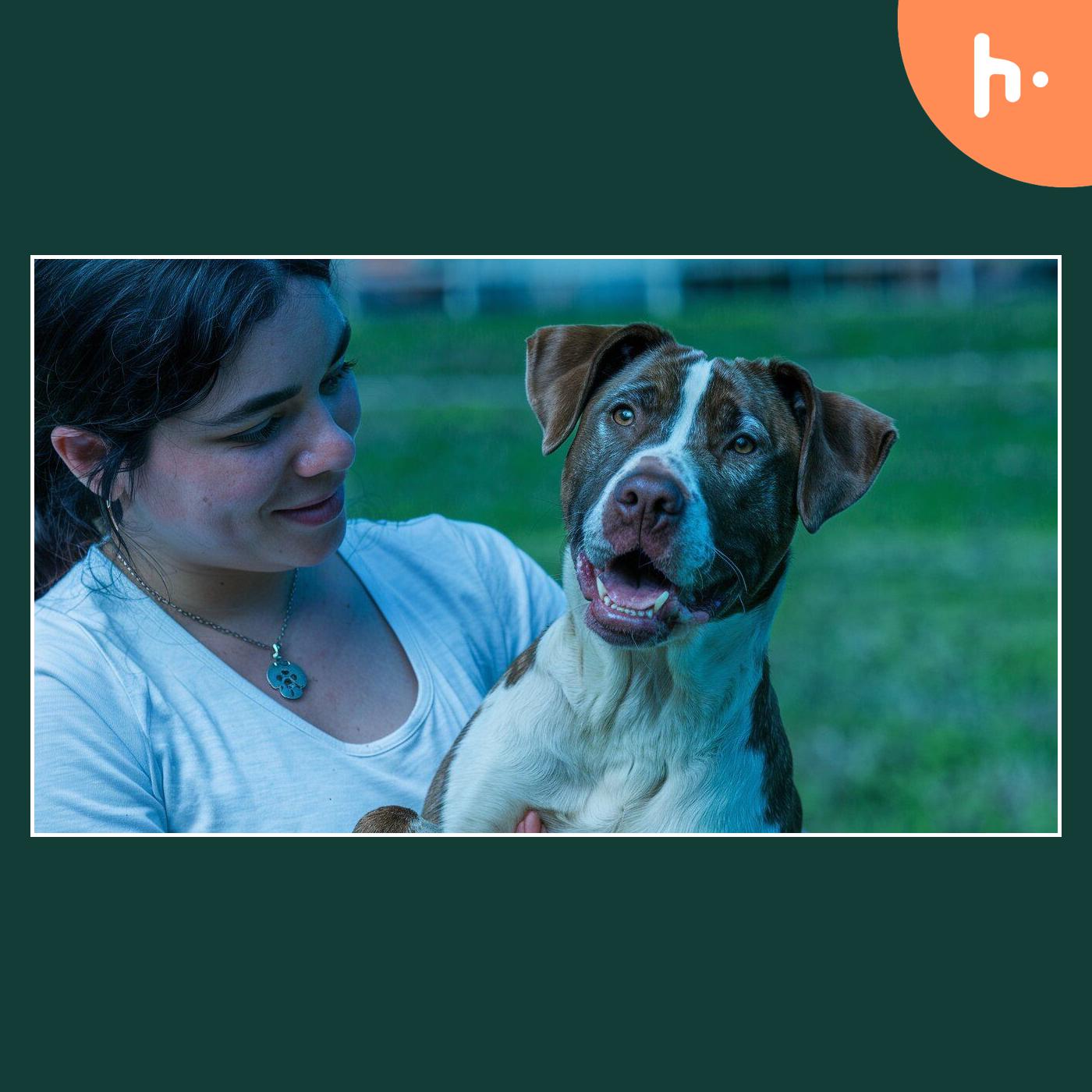 ABCsPuppyZs: A Guide to Finding the Perfect Puppy