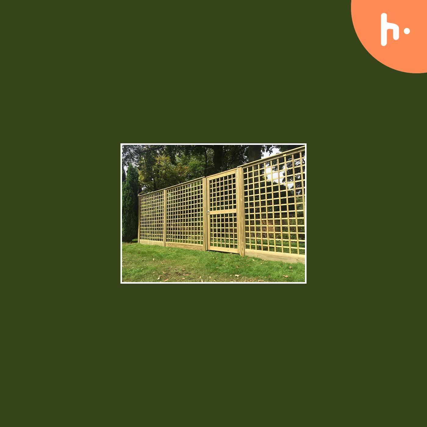 Consider These Important Things While Installing Fences Near the Trees