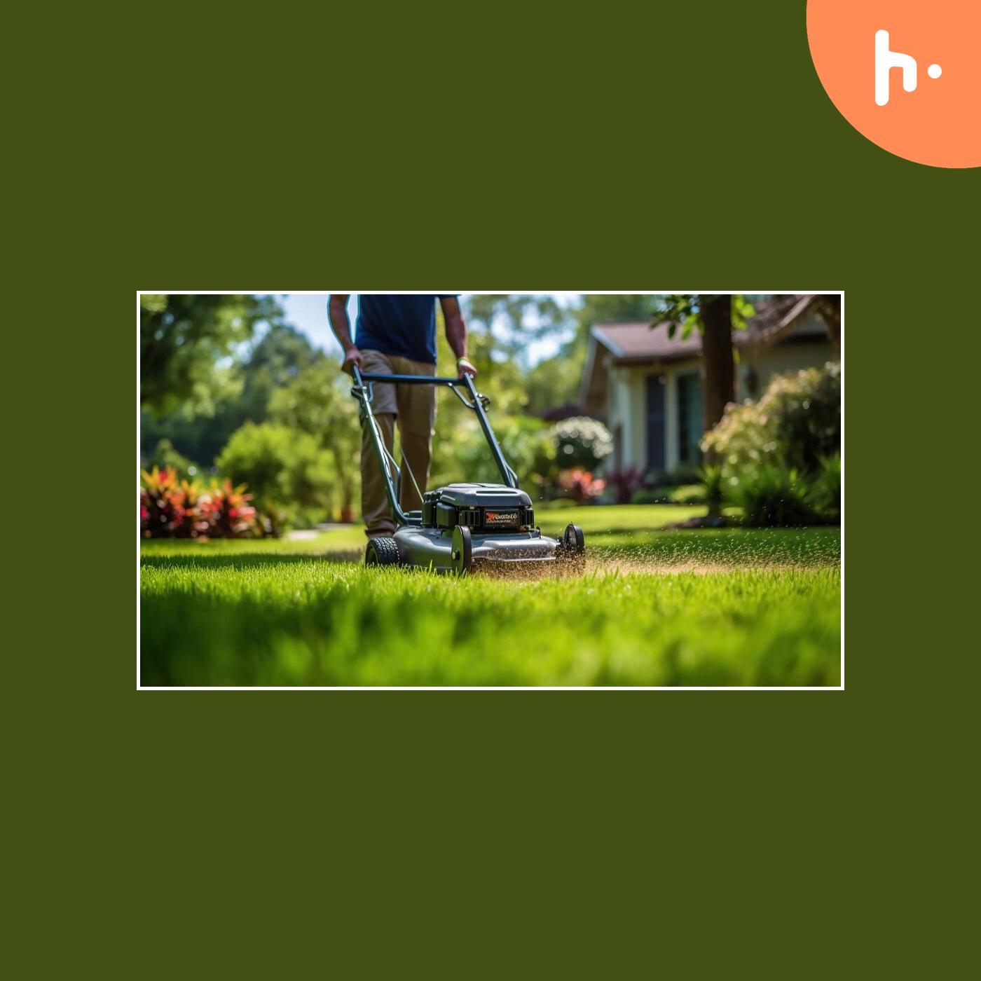 Hedge Trimming Services