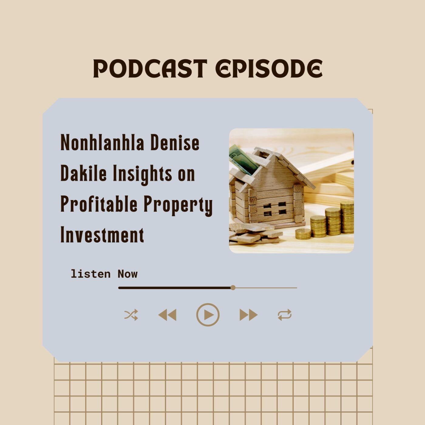 Nonhlanhla Denise Dakile Insights on Profitable Property Investment