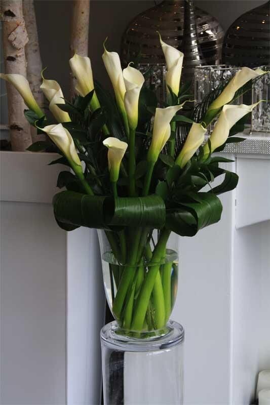 Honoring Loved Ones with Beautiful Funeral and Sympathy Flowers Mississauga episode artwork