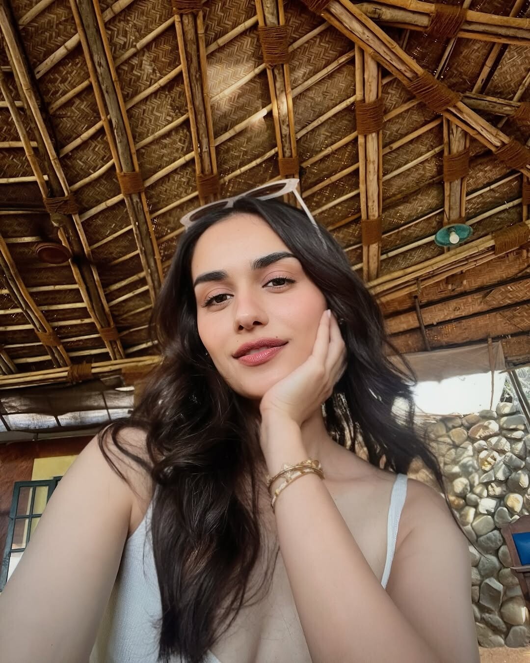 Manushi Chhillar's hot and bold look Showed off her beauty on the beach wearing a bikini episode artwork