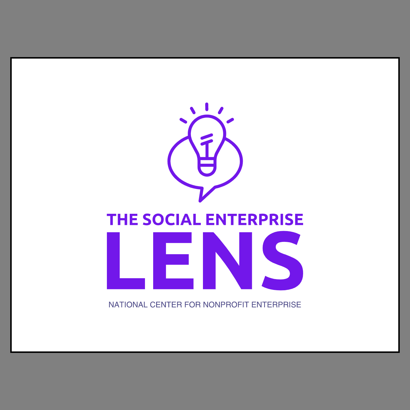 The Social Enterprise Lens