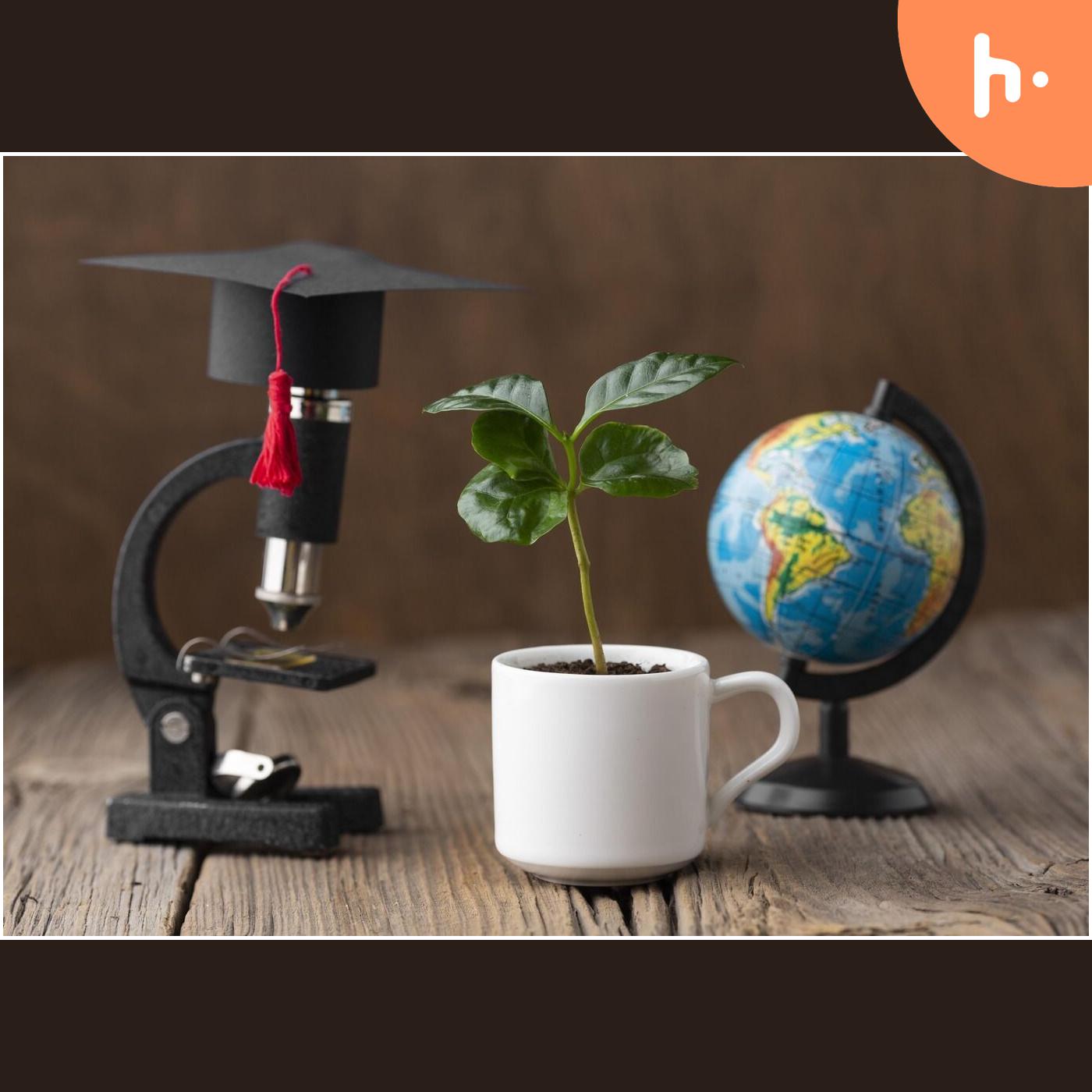 PhD Thesis Writing Services in Panchkula podcast artwork