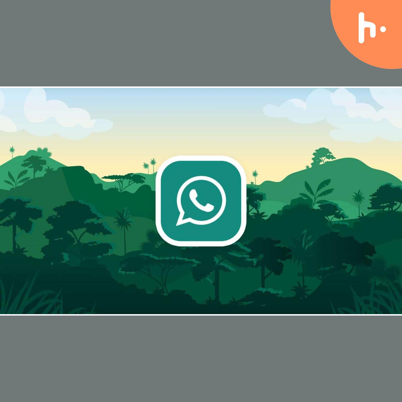 Saud & Bilal Discuss GBWhatsApp Pro Features and Risks