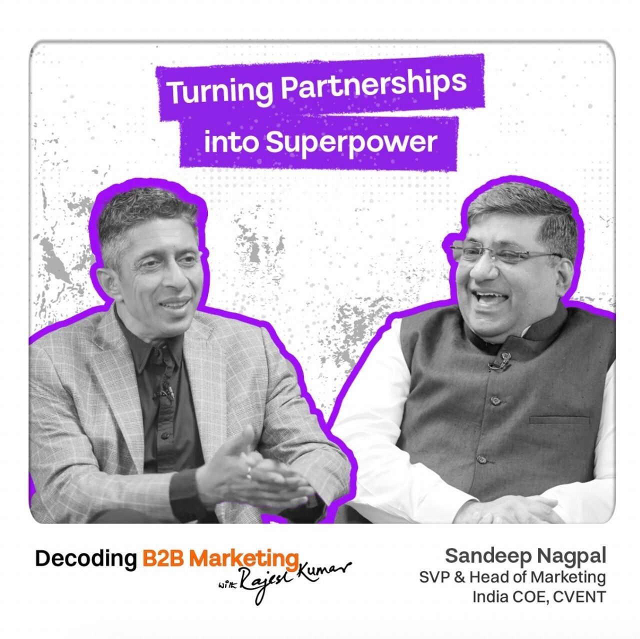 B2B Marketing Shepherd