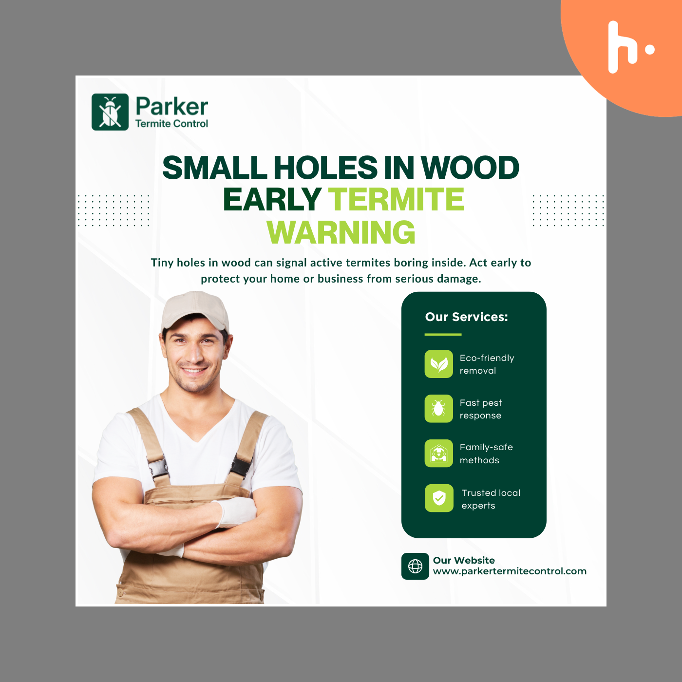 Small Holes in Wood Early Termite Warnings cover art