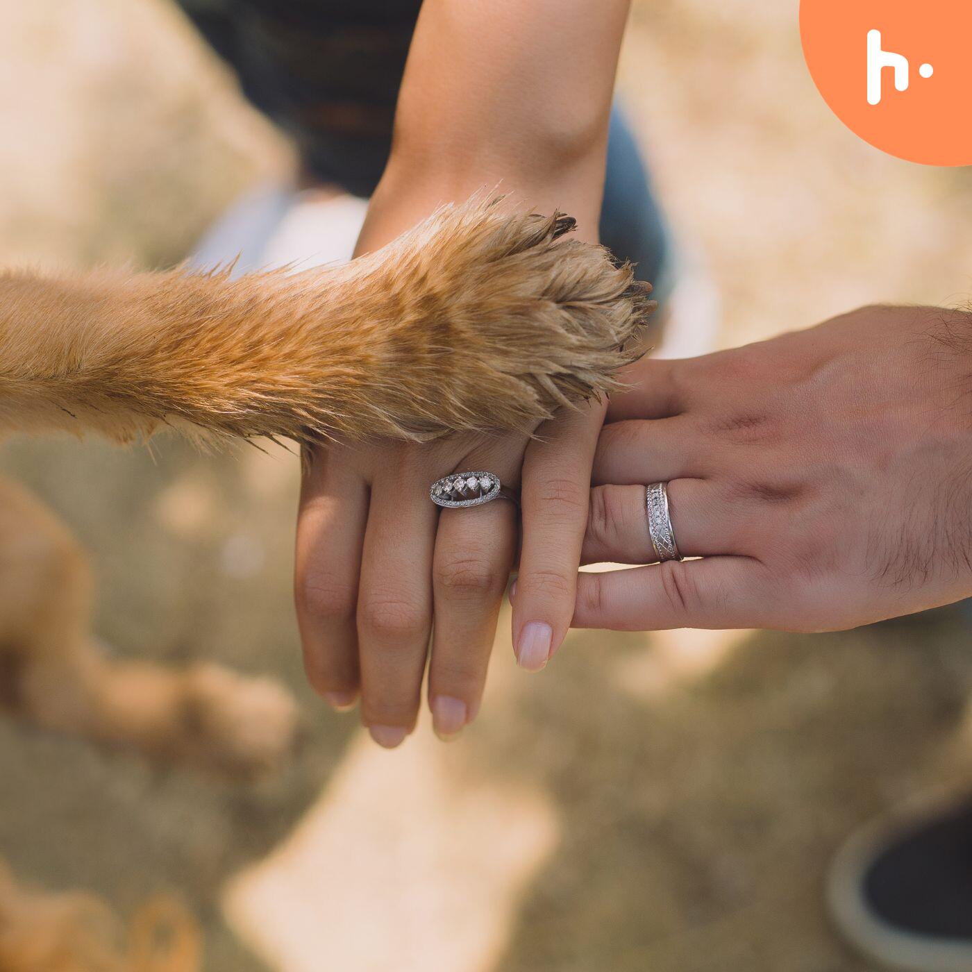 Paws, Purpose & Partnership