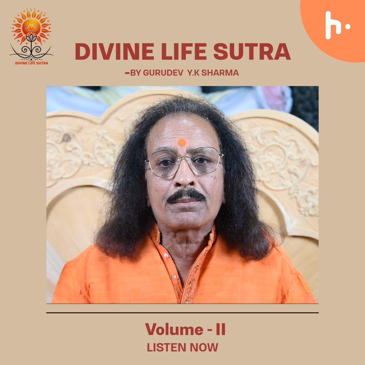 Divine Life Sutra - Volume II