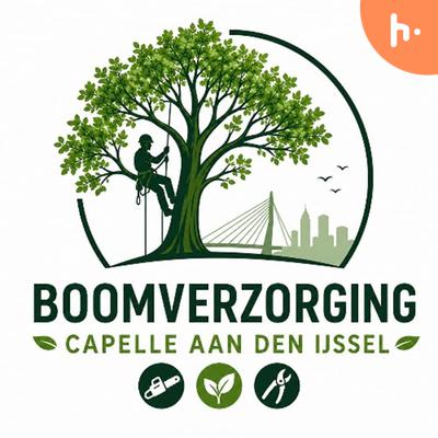 Boomverzorging Capelle aan den IJssel