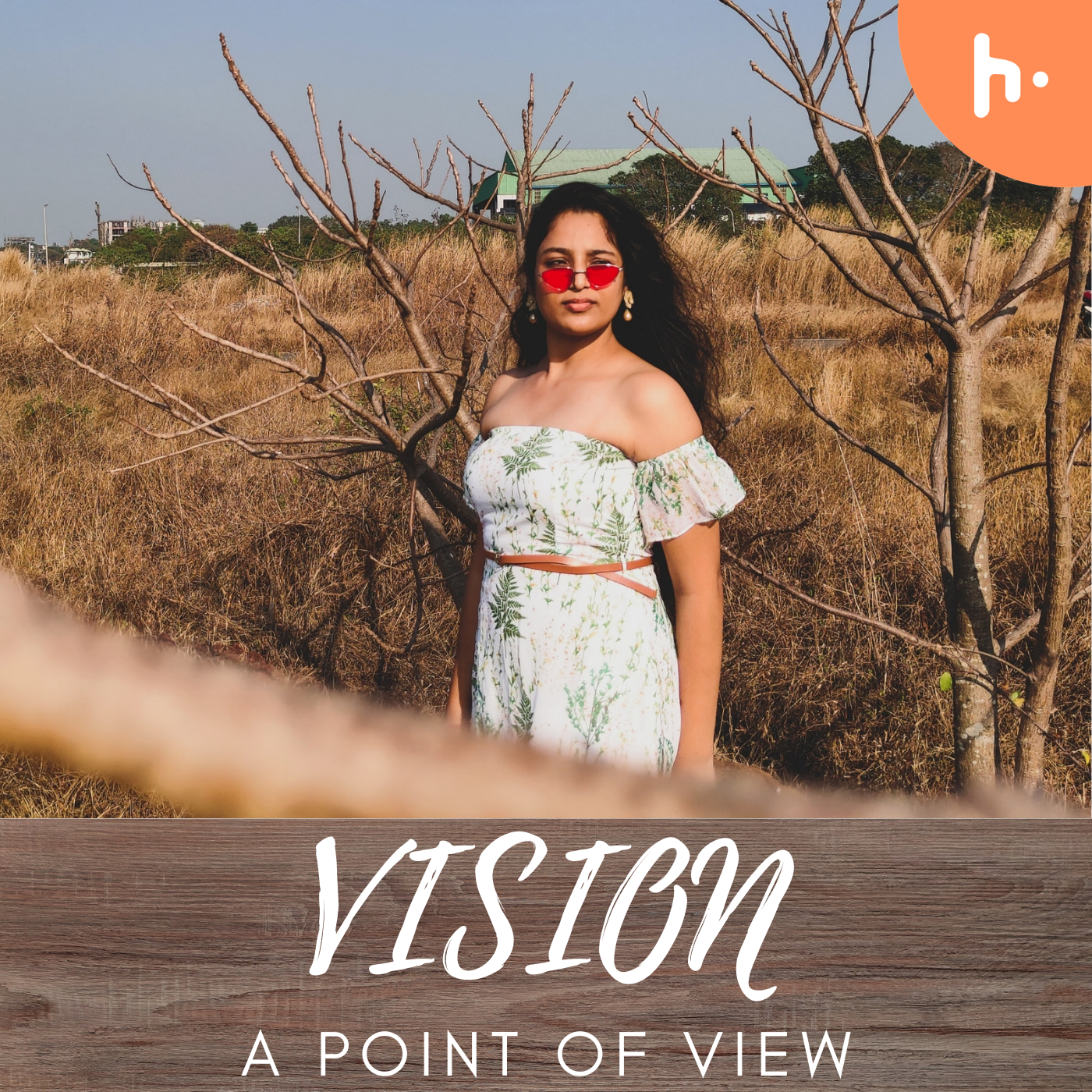 VISION: A POINT OF VIEW podcast artwork